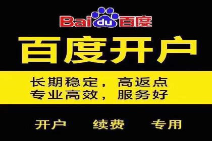百度SEO推广公司案例精选：揭秘优化策略